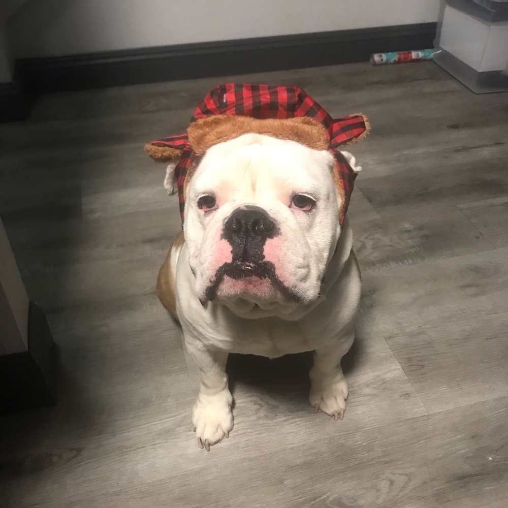 Meet your Posher, Sergio